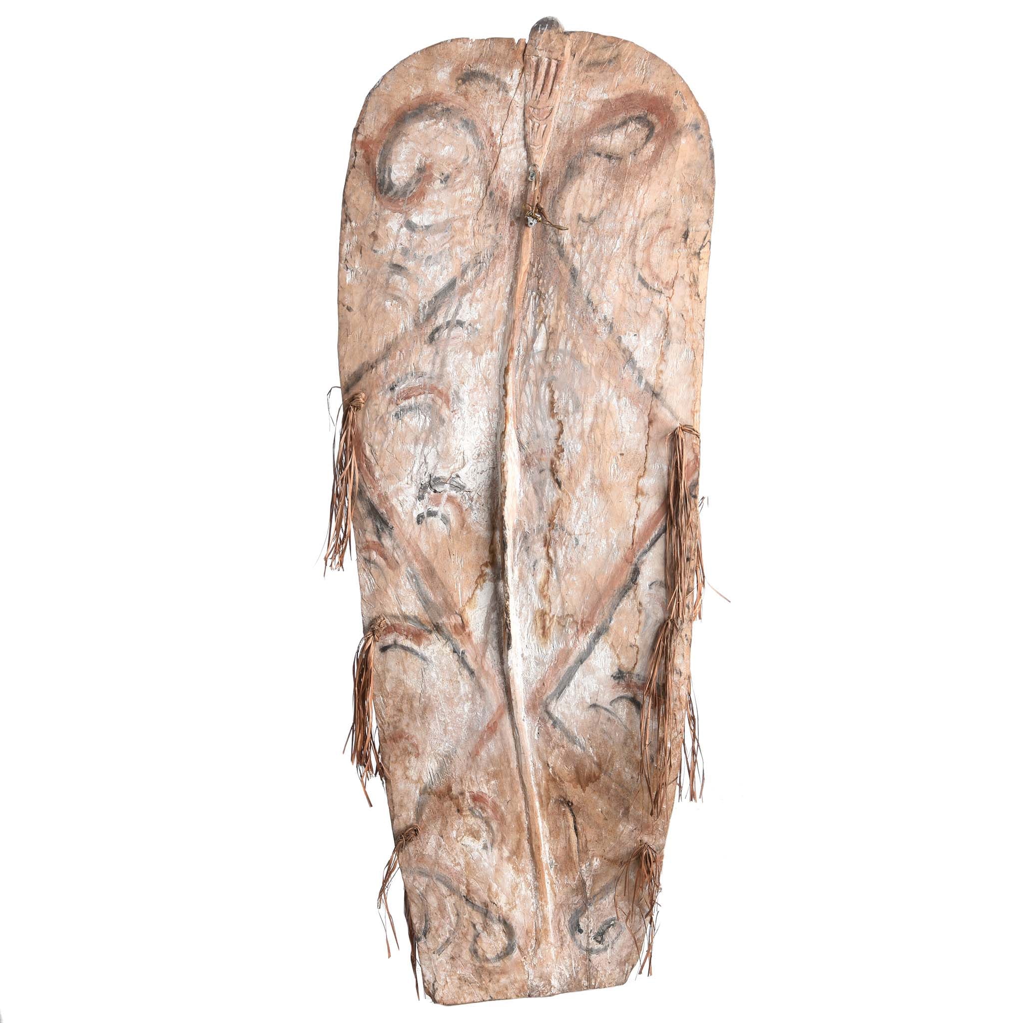Asmat Ceremonial Shield from New Guinea - Ca 85 yrs old - Image 6