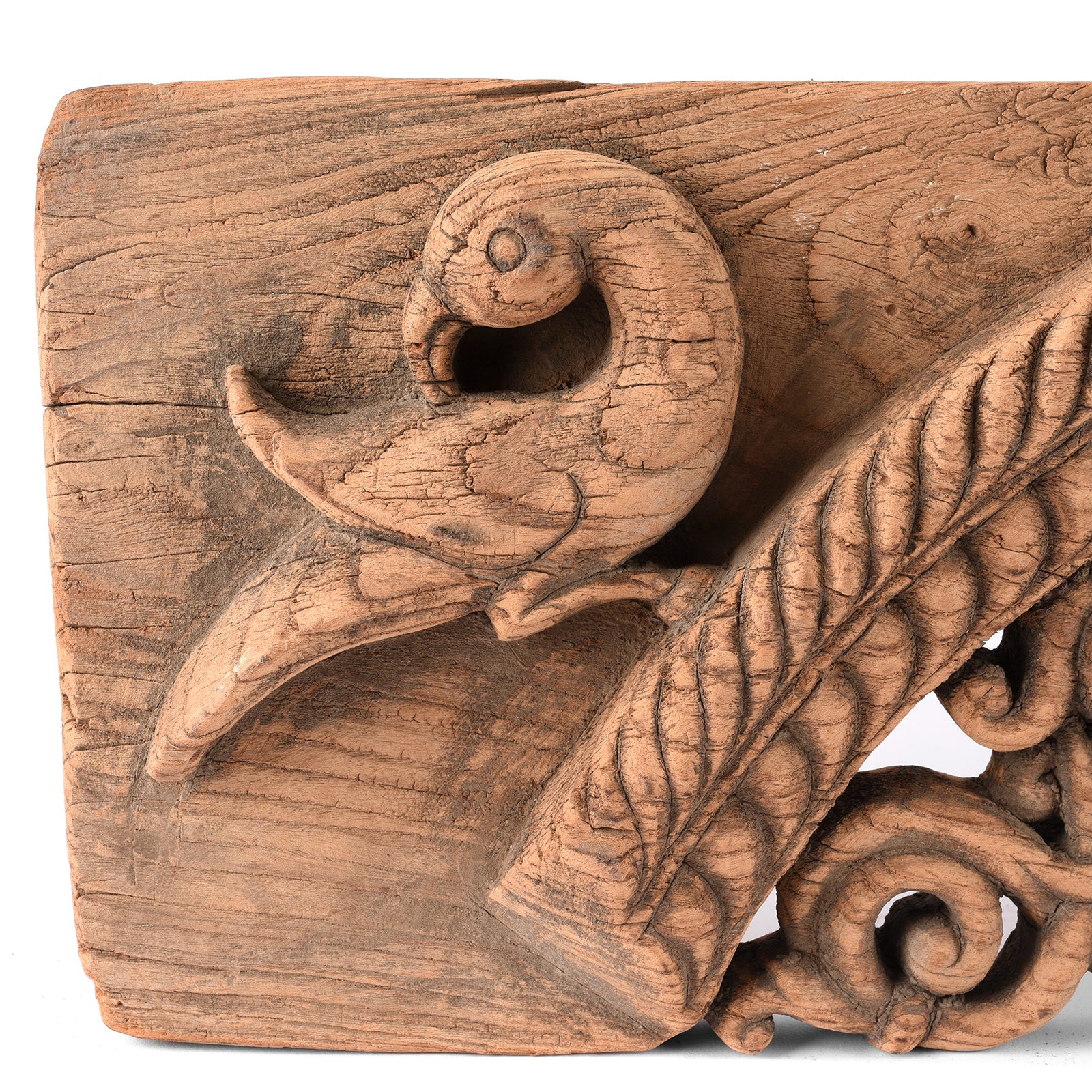 Carved Peacock Panel From Andra Pradesh - 18th Century - Image 3
