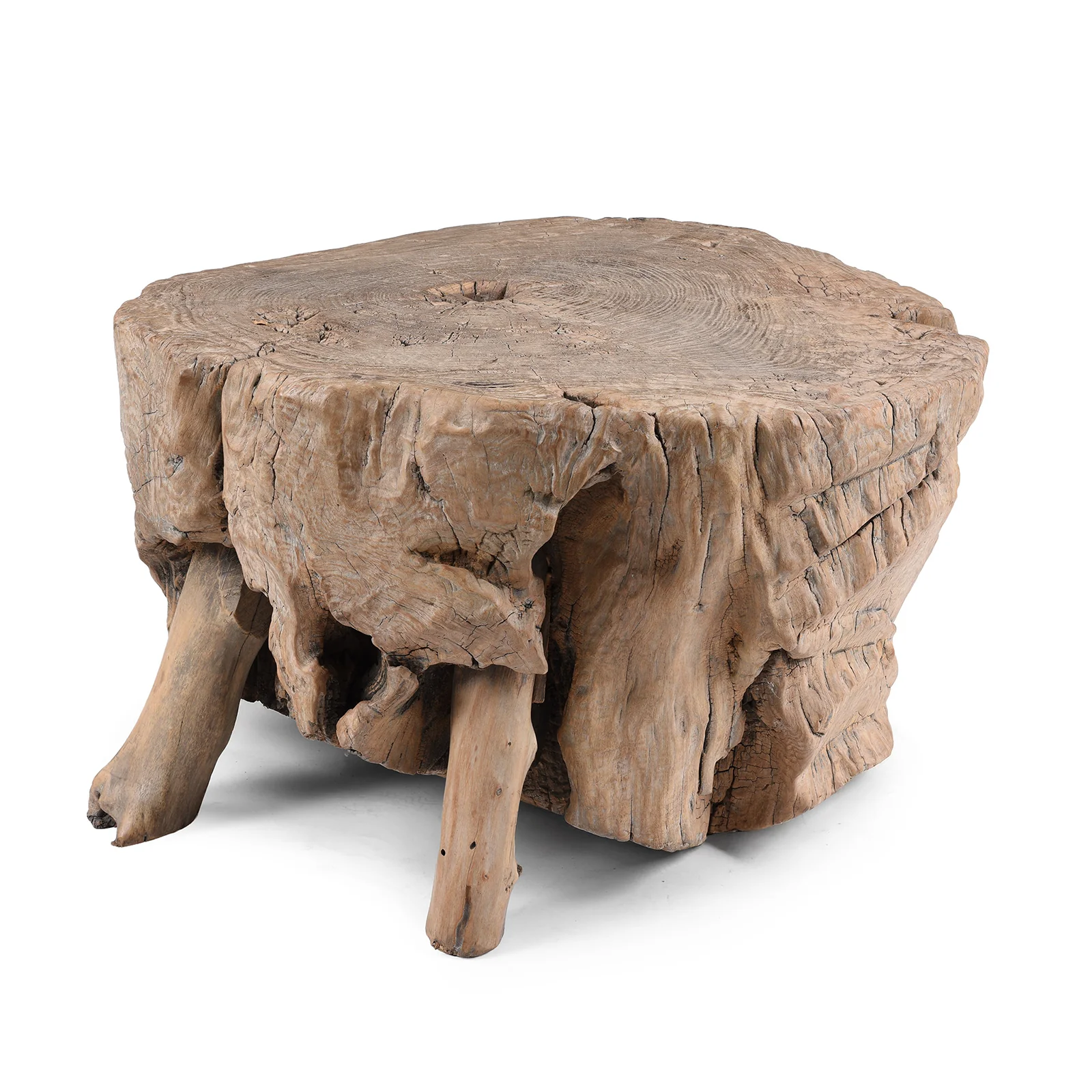 Yumu Elm Tree Stump Coffee Table - Image 6
