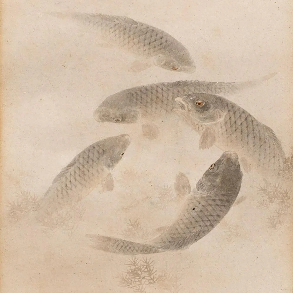 Framed Japanese Watercolour of Swimming Carp - 19thC - Image 2