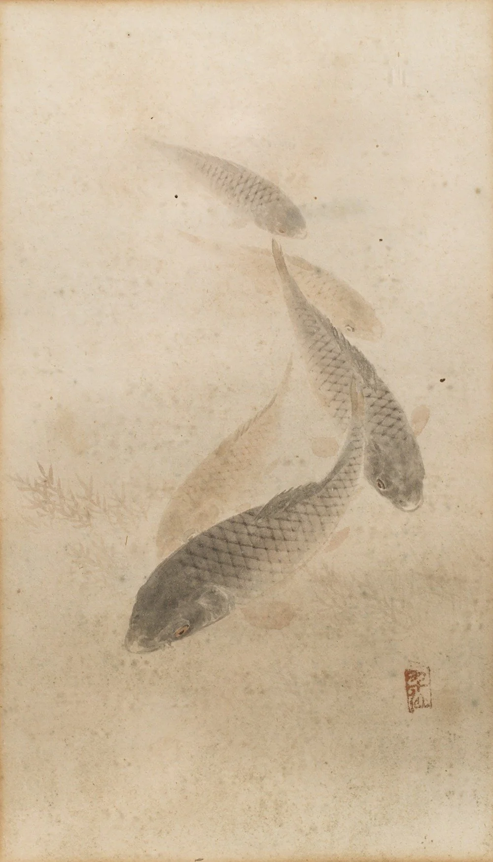 Framed Japanese Watercolour of Swimming Carp - 19thC