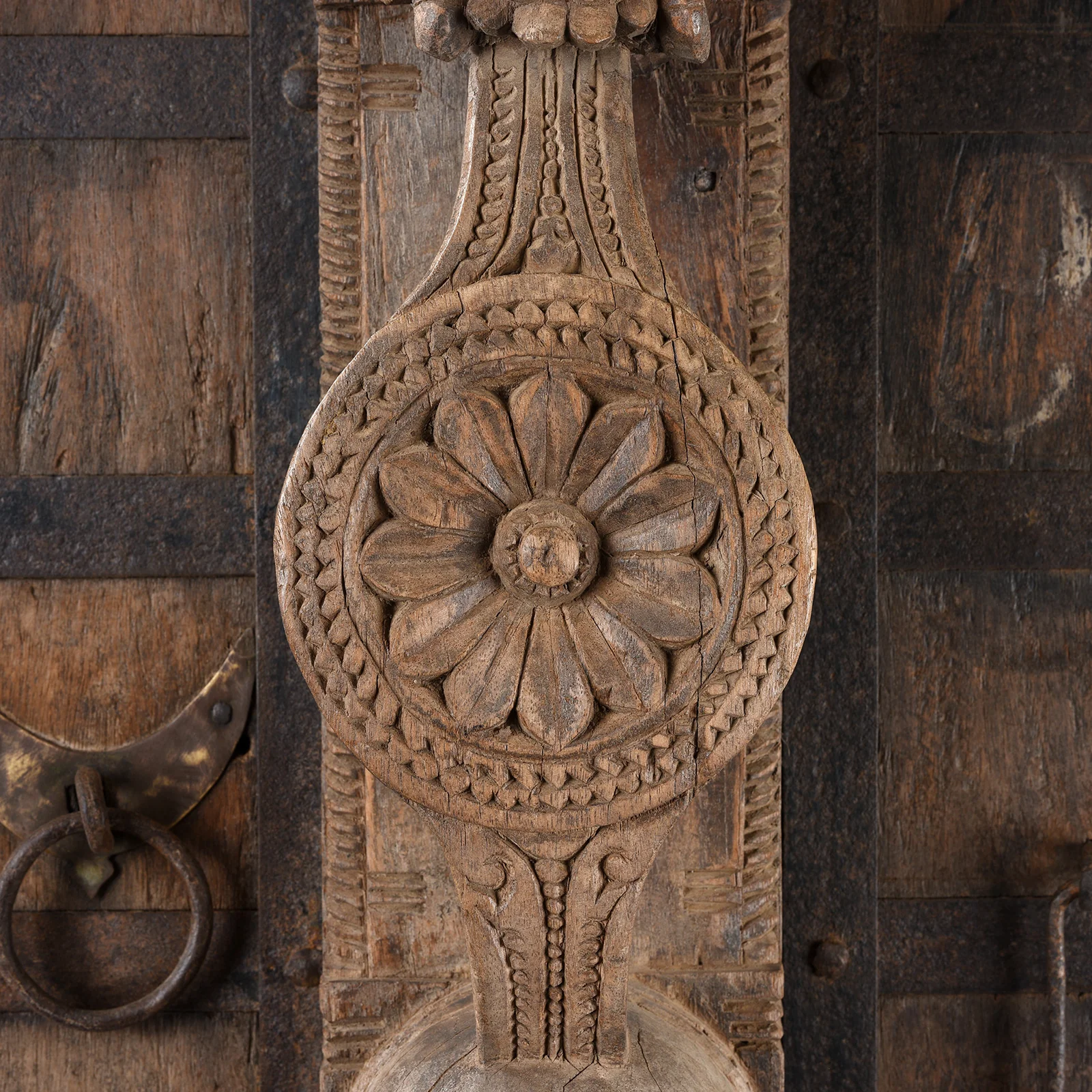Carved Yali Door From Kerala - 19th Century - Image 5